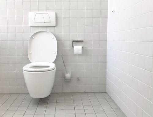 Thoughts on the Motion-Sensor Flush